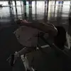 shayli_or Altpins Profile Picture