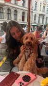 sophiecharlotth Altpins Profile Picture