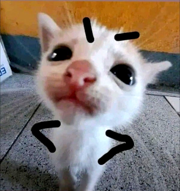 ambrzinha666 instagram image archive image
