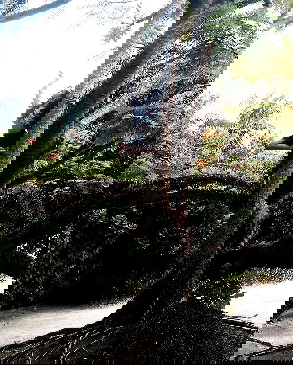 kkulakovaa image ~ Altpins