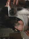 zommmbri Altpins Profile Picture