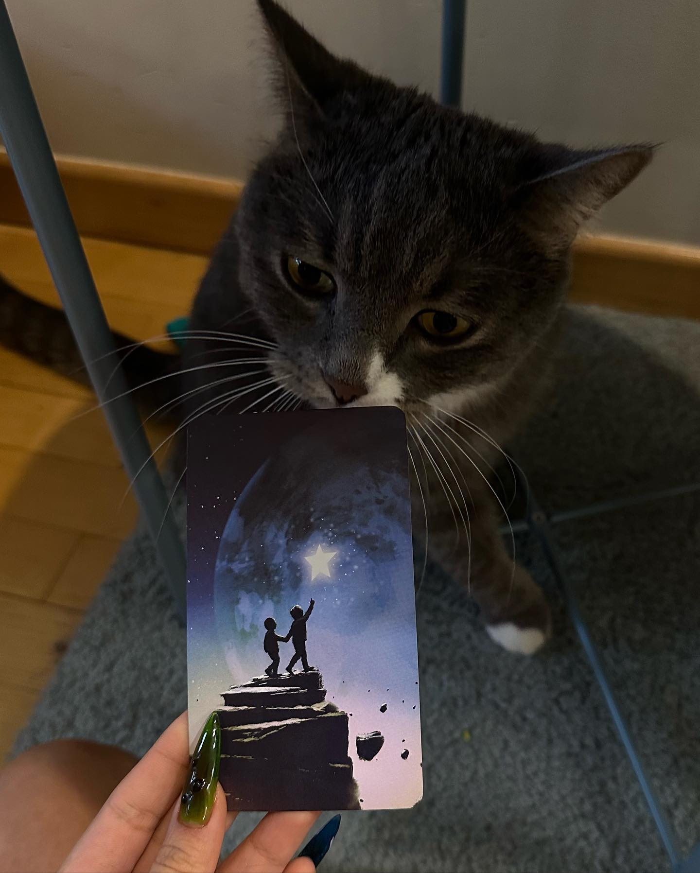 kkulakovaa instagram image archive image