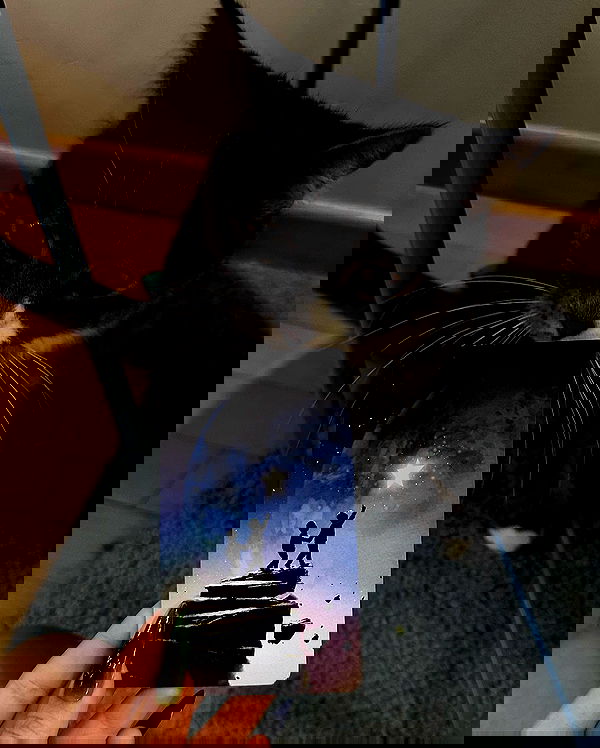 kkulakovaa image ~ Altpins