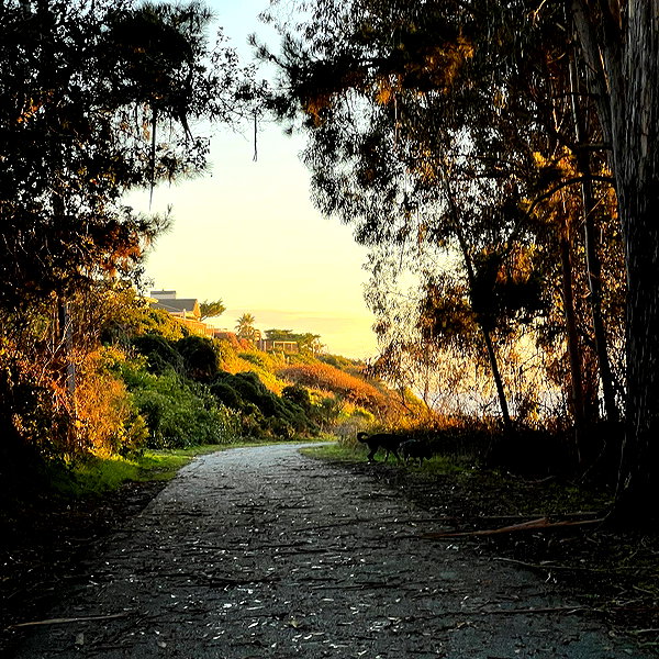 rouxroux.tv instagram image archive image