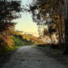rouxroux.tv Altpins Profile Picture