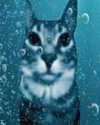 1kyle8_ Altpins Profile Picture