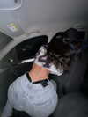 vanessa.rhd Altpins Profile Picture