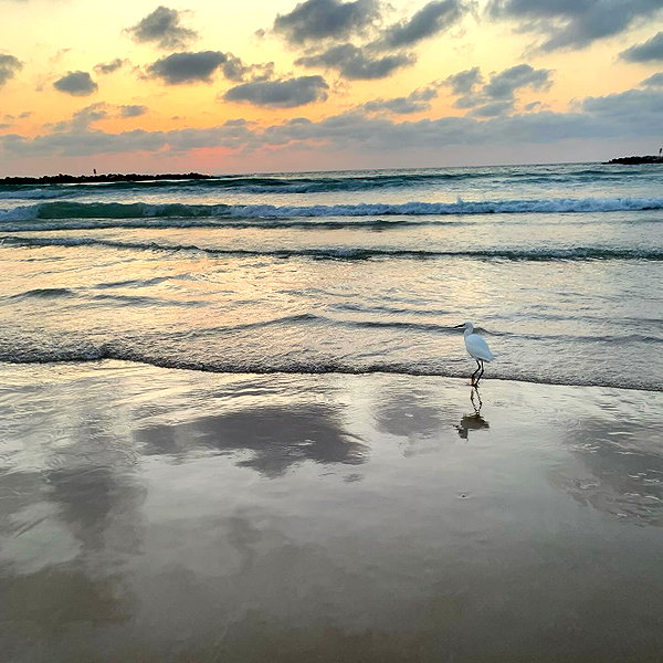 libby_reut instagram image archive image