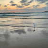 libby_reut Altpins Profile Picture
