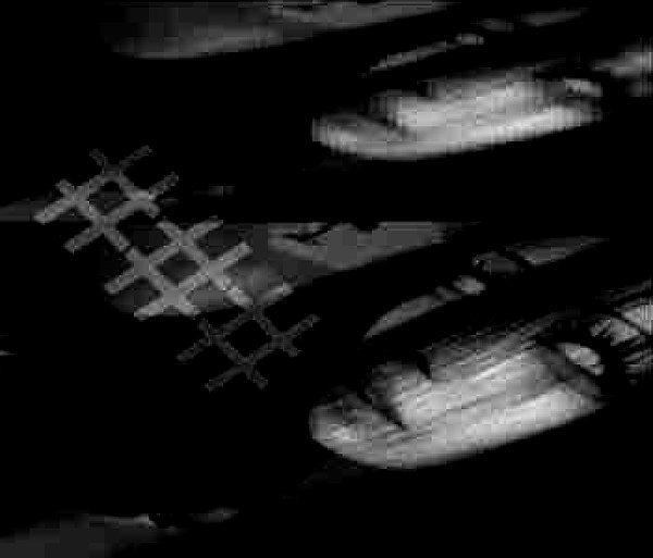 asylome archive image