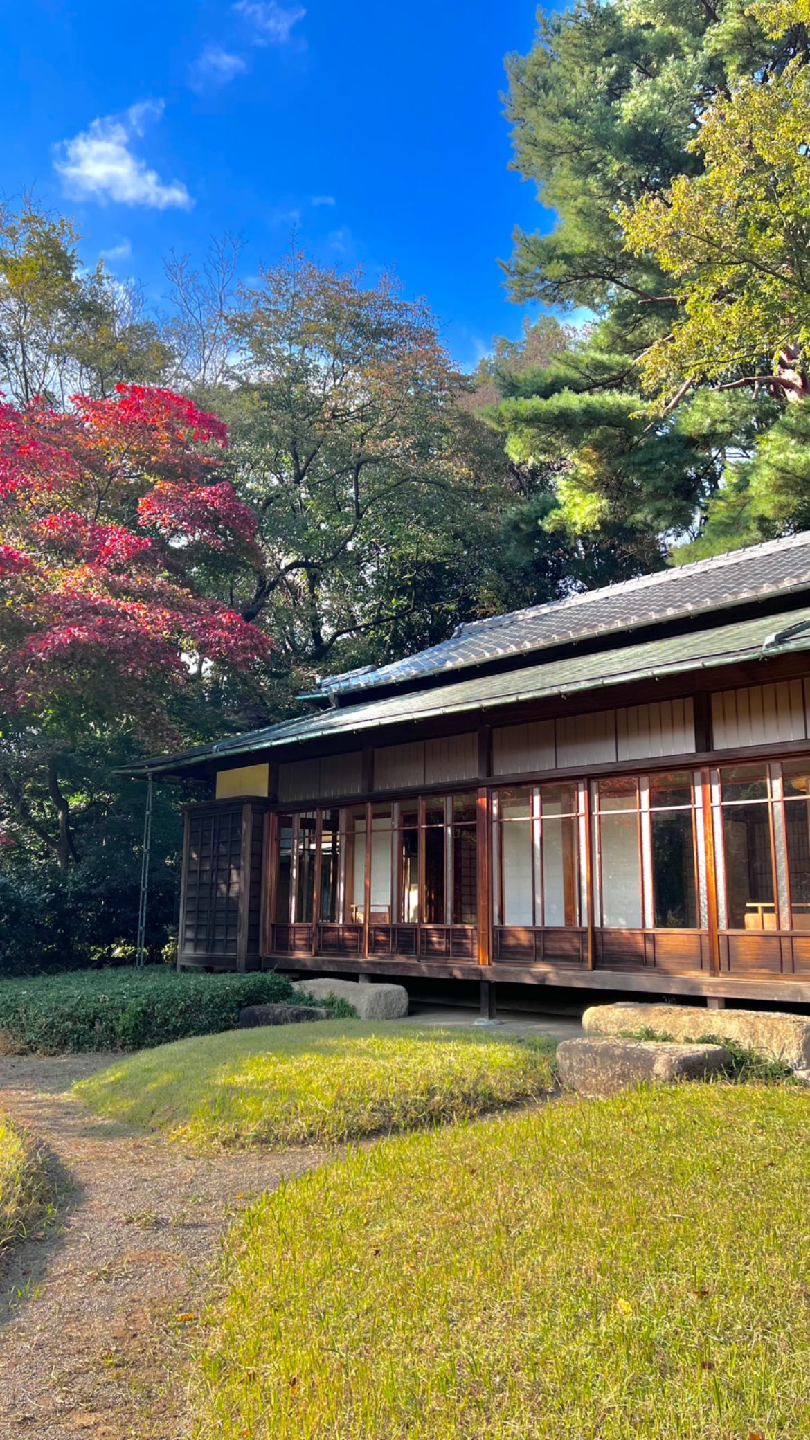 leonanaomii instagram image archive image