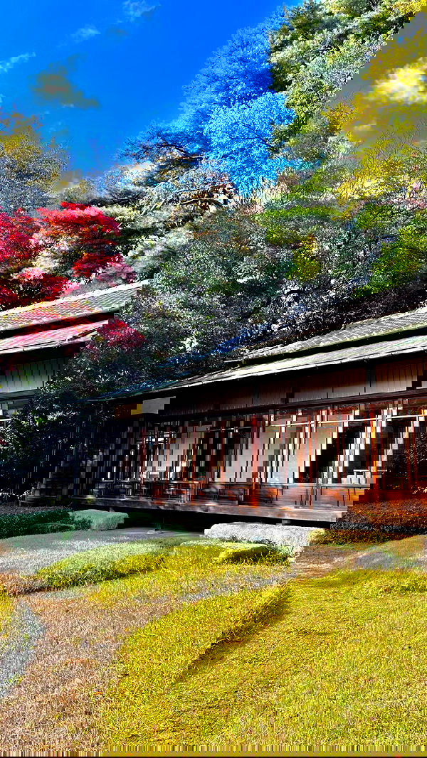 leonanaomii image ~ Altpins