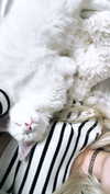 jessie.ra3 Altpins Profile Picture