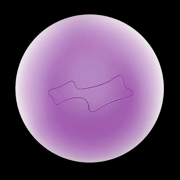 lilbieber instagram image archive image