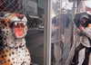 _satomort_ Altpins Profile Picture