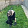 nyyxxii_ Altpins Profile Picture