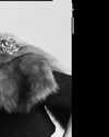 gigihadid Altpins Profile Picture
