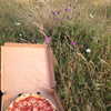 oliviiaa.rose Altpins Profile Picture