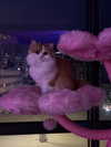mennyaah Altpins Profile Picture