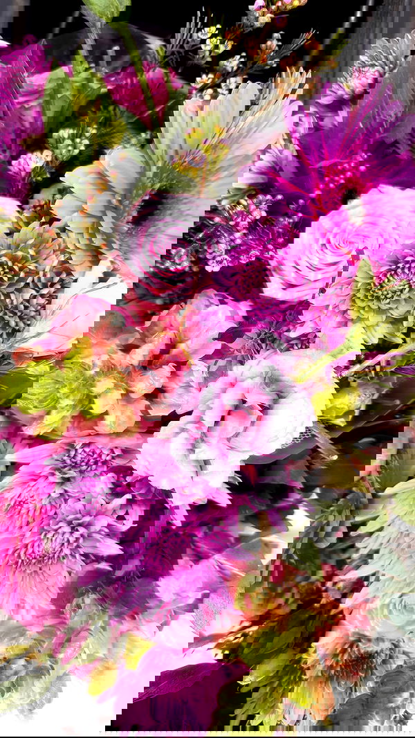 dustheadd dustheadd archive image