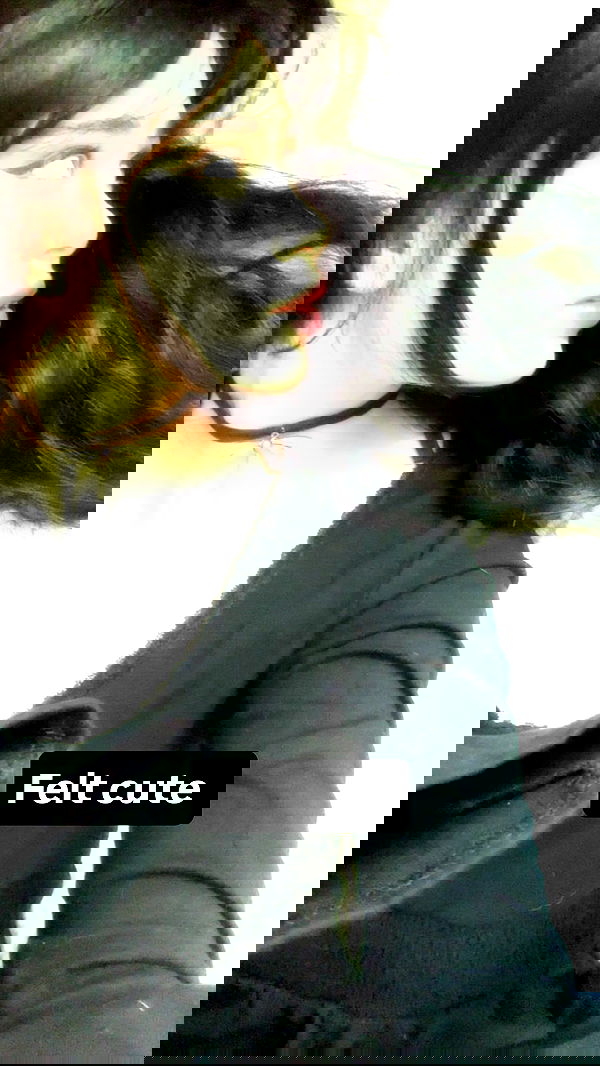 moonliliaght moonliliaght archive image