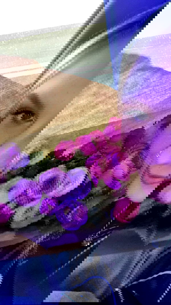 jaroslava_klavir jaroslava_klavir archive image