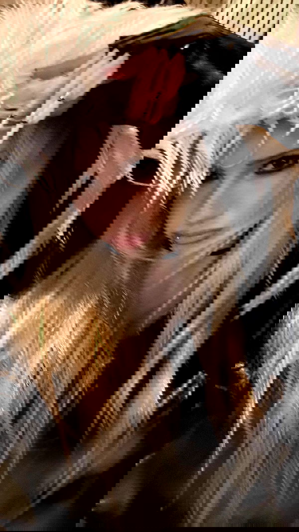 rchhhll rchhhll archive image