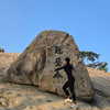 from__yj__ Altpins Profile Picture