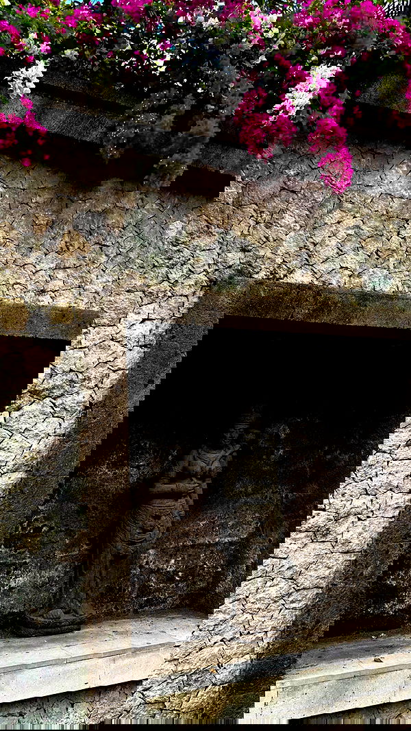 taylor.creeden taylor.creeden archive image