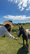 vanessa.rhd Altpins Profile Picture
