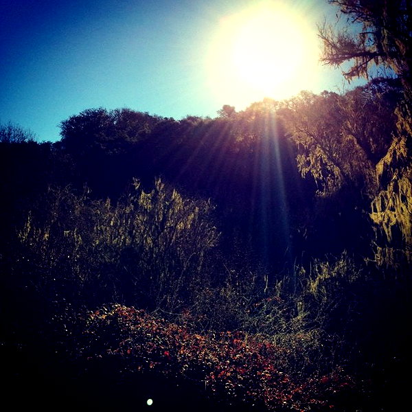 lilbieber instagram image archive image