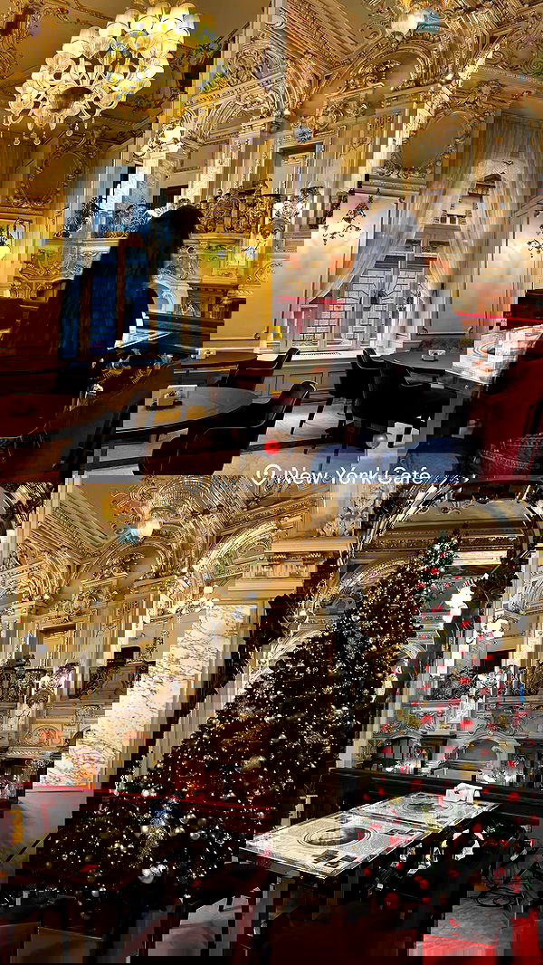 tuliish_ tuliish_ archive image