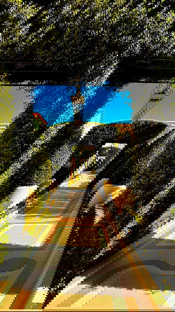 taylor.creeden taylor.creeden archive image