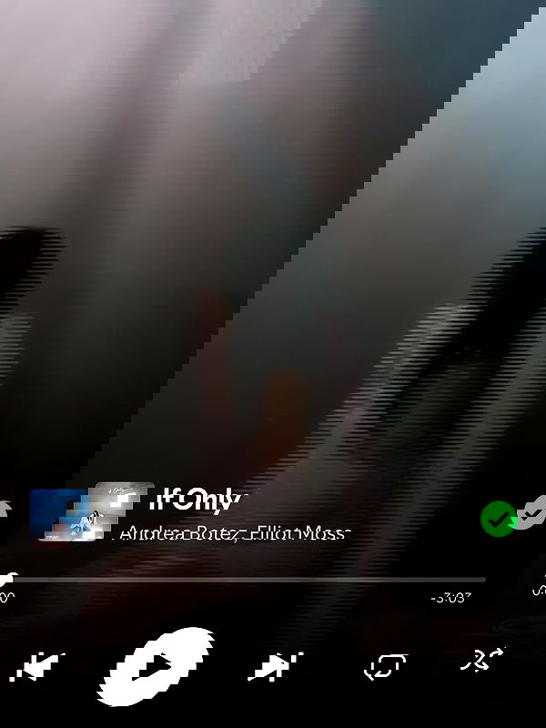 itsandreabotez itsandreabotez archive image