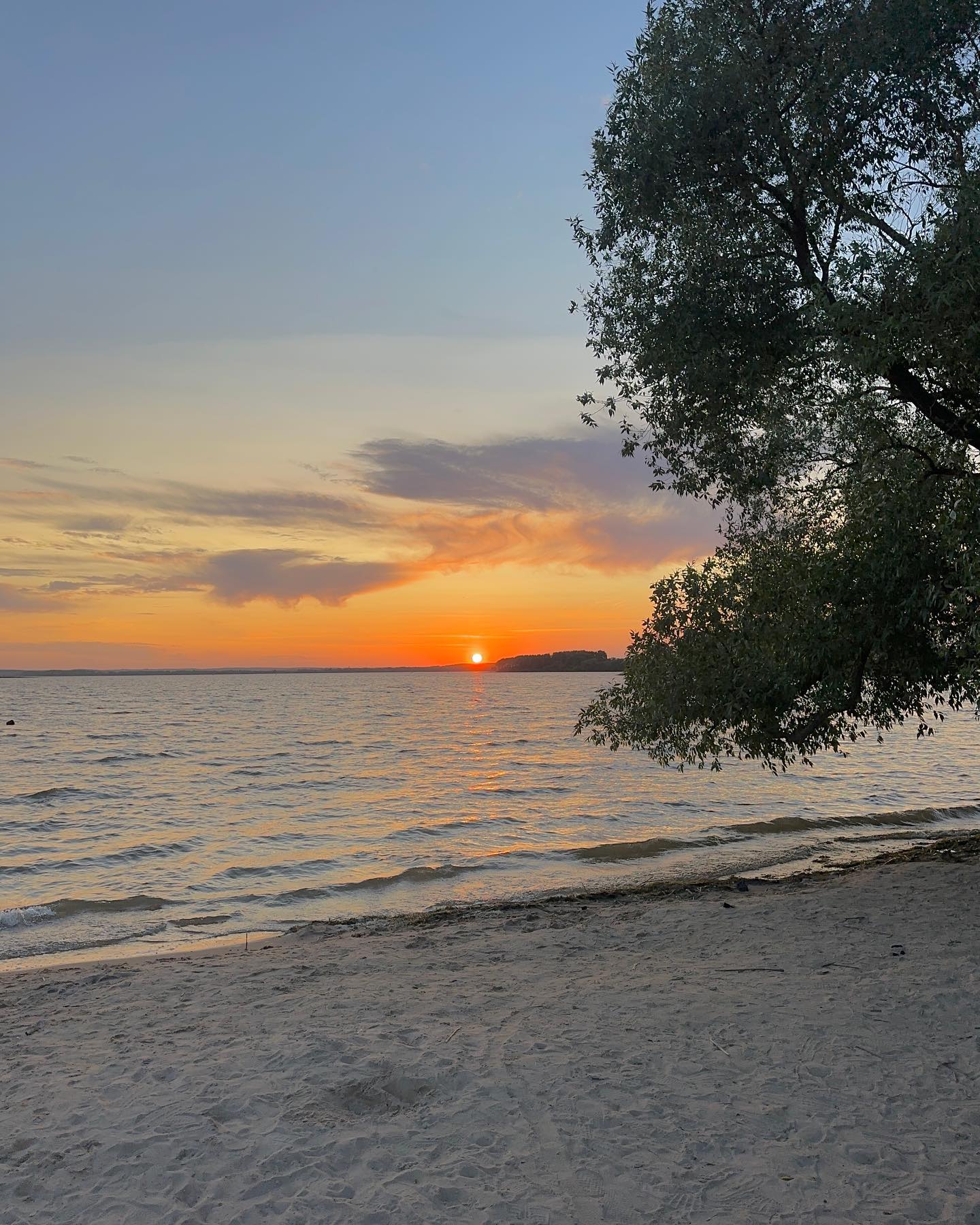 annfigmax instagram image archive image