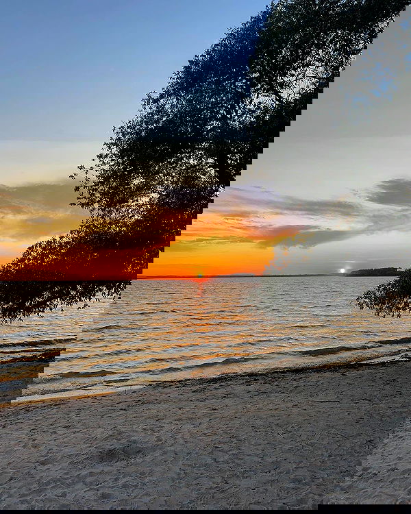 annfigmax image ~ Altpins