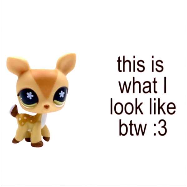 1uvgabi instagram image archive image