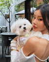 ll.lu1s Altpins Profile Picture