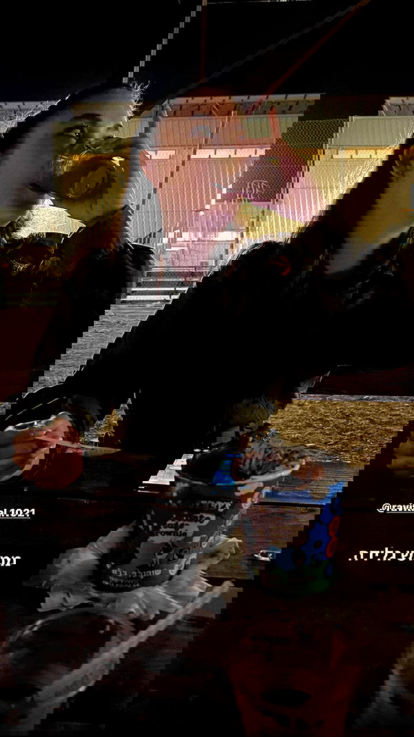 edentziru edentziru archive image