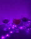 jadelaverne Altpins Profile Picture