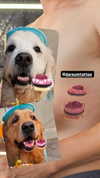 muze Altpins Profile Picture