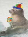 dwpolin Altpins Profile Picture