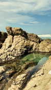 pia__kim Altpins Profile Picture