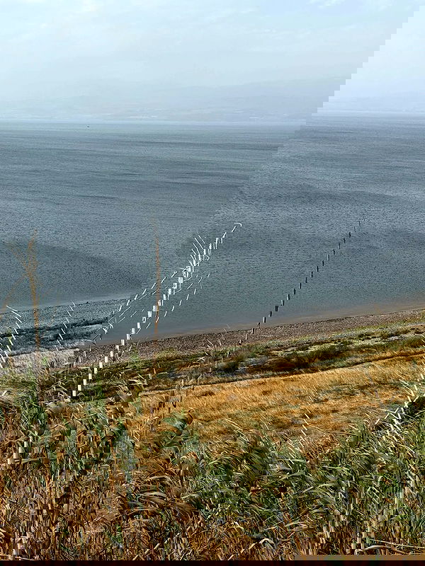 iambohema.v2 iambohema.v2 archive image