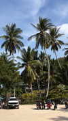 dana_ratushany Altpins Profile Picture