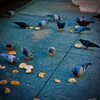 bugz4brainz Altpins Profile Picture