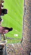 maori_cohen Altpins Profile Picture