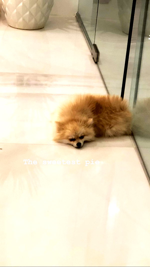 sssniperwolf instagram image archive image