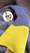 ki.re.ina Altpins Profile Picture