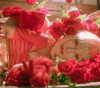 muze Altpins Profile Picture